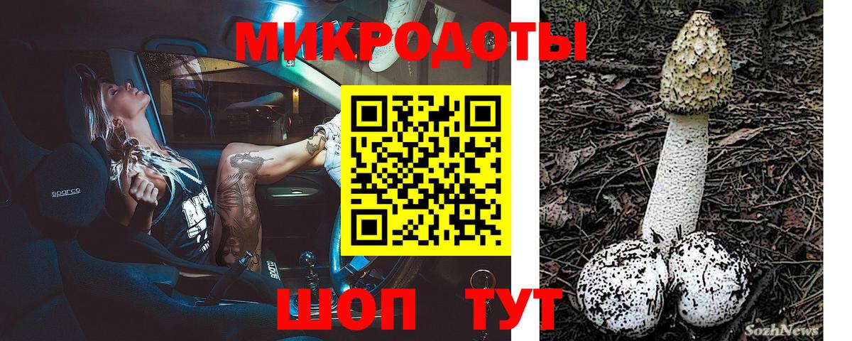 Сегежа  Галлюциногенные грибы MAGIC MUSHROOMS  Вход с VPN 