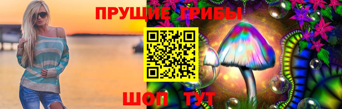 Псилоцибиновые грибы MAGIC MUSHROOMS Сегежа